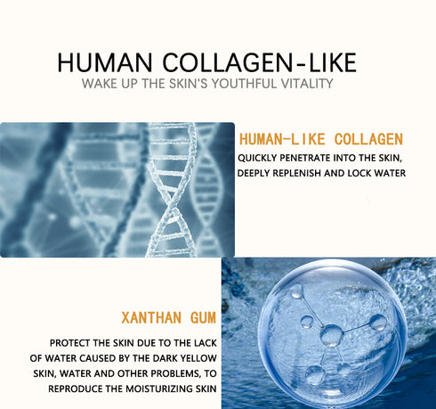Human-like Collagen Boosting Day Cream 48g - ROUTINE FASHION